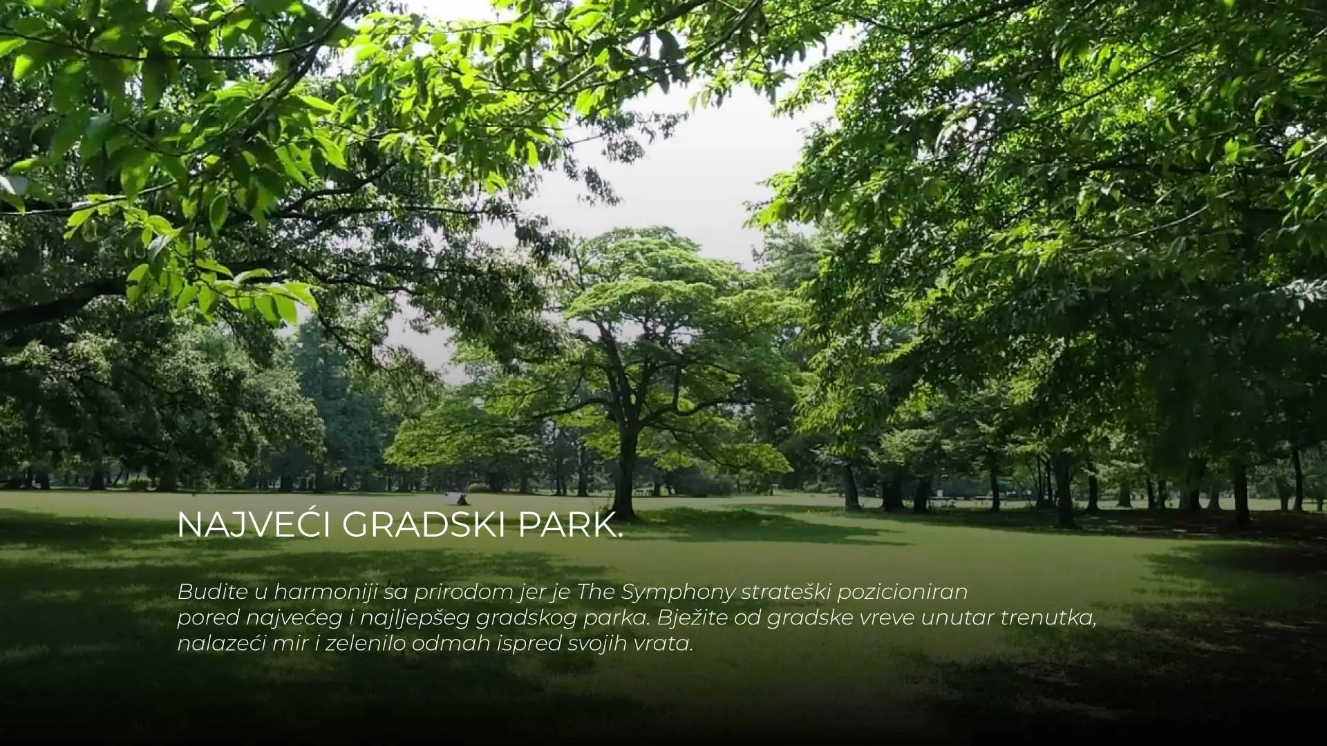Najveci-gradski-parkV345